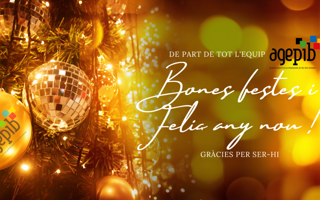 Bon Nadal i bones festes!