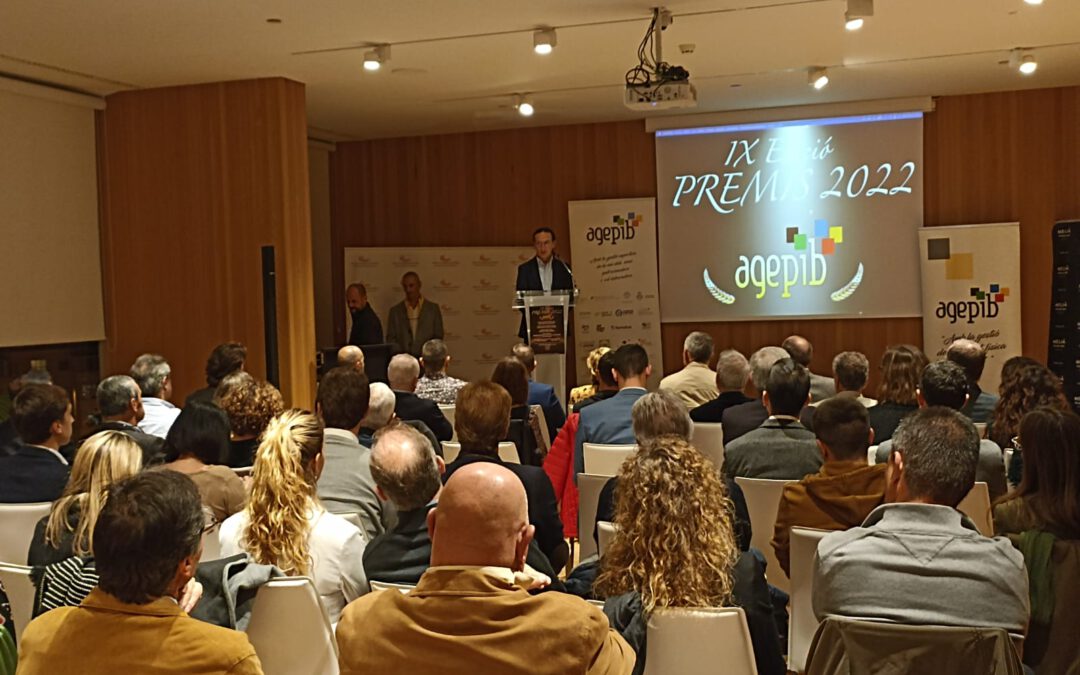 EL DEPORTE DE LAS ISLAS BALEARES, RECONOCIDO EN LA ENTREGA DE LOS PREMIOS AGEPIB 2022